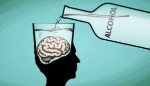 How Alcohol Affects the Body and Brain Over Time